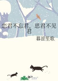恋君不忘君，思君不见君封面