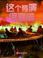 这个导演很靠谱封面