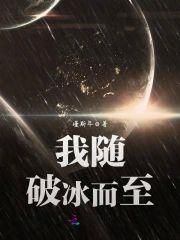 我随破冰而至封面
