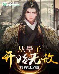 从皇子开始无敌封面