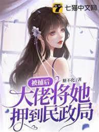 被捕后,大佬将她押到民政局封面
