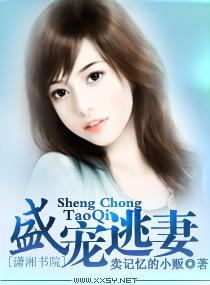 盛宠逃妻封面