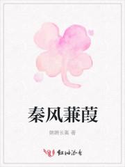 秦风蒹葭封面