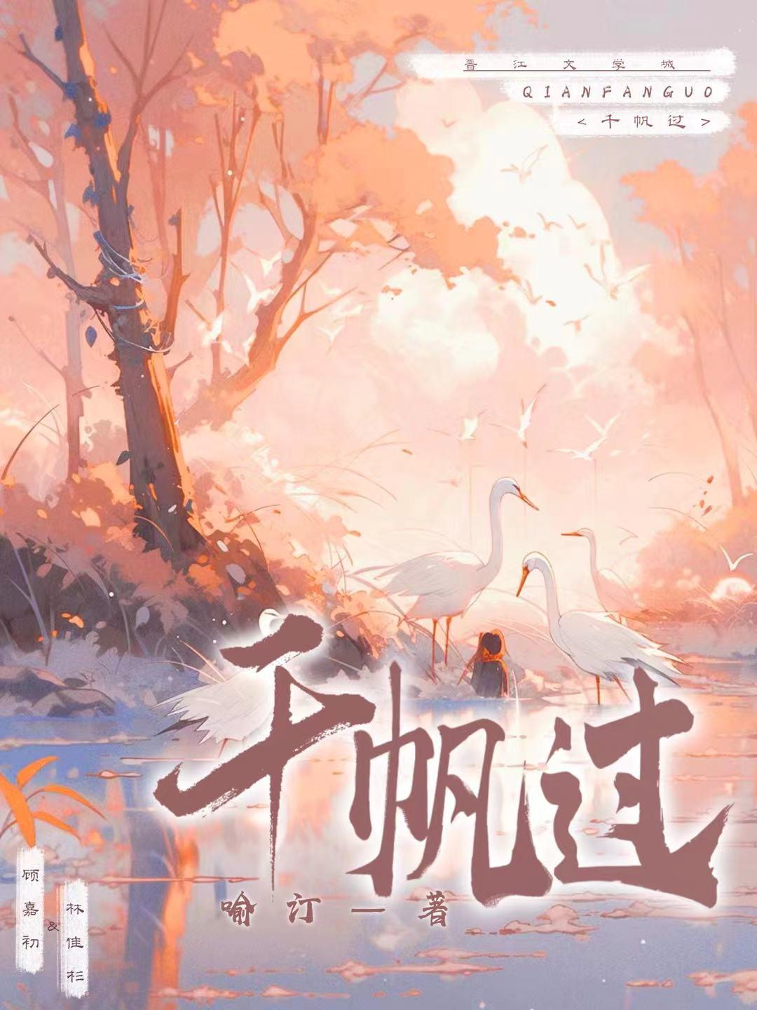 千帆过（双重生）封面