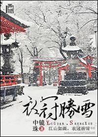 衣冠胜雪封面