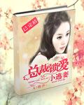 总裁的小逃妻封面