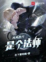 我真的只是个法师！封面