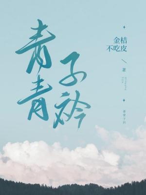 青青子衿封面