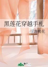 黑莲花穿越手札无删减封面