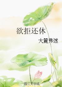 欲拒还休封面