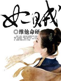 妃贼封面