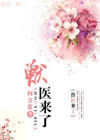 兽医来了封面