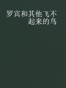 罗宾鸟和其他飞不起来的鸟封面