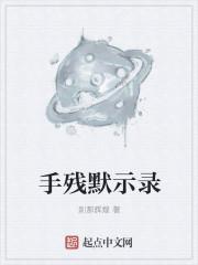 被穿越的境界线封面