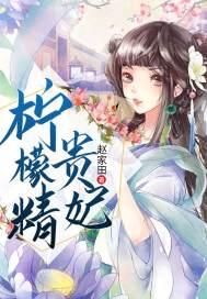 柠檬精贵妃封面