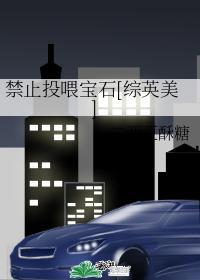 禁止投餵灵魂宝石[综英美]封面