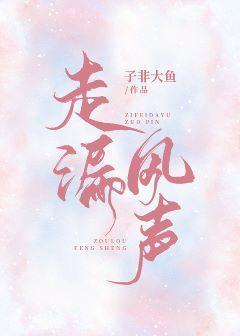 走漏风声封面