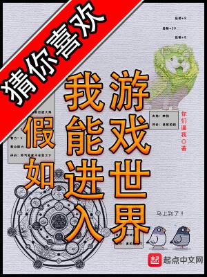 假如我能进入游戏世界封面