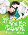 燃情甜妻封面