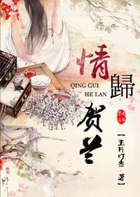 情归贺兰封面