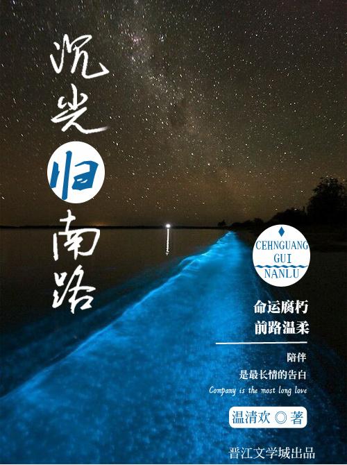 沉光归南路封面