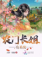 农门长姐有系统封面