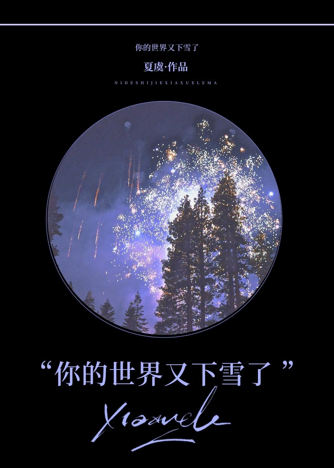 你的世界又下雪了封面
