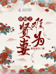 穿越之贤妻难为封面