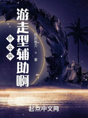 什么叫游走型辅助啊封面