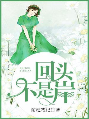回头不是岸封面