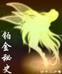 铂金秘史封面