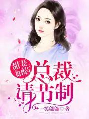 甜妻如焰︰总裁，请节制封面