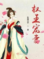 权王宠妻封面