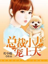 总裁小妻宠上天封面