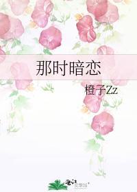 那时暗恋封面