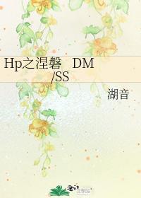 Hp之涅盘 DMSS封面