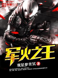 军火之王封面