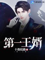 第一王婿封面