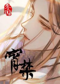 宵禁以后封面