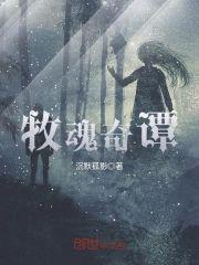 牧魂奇谭封面