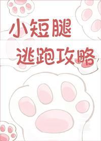 小短腿逃跑攻略封面