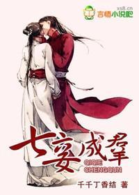 七妾成群封面