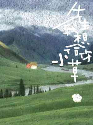 先生,我想给你小草封面