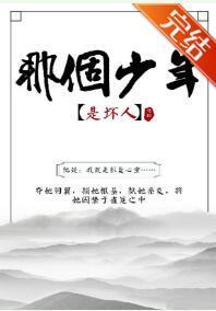 那个少年是坏人封面