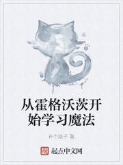 从霍格沃茨开始学习魔法封面
