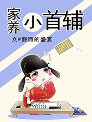 家养小首辅封面