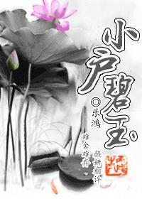 小户碧玉封面