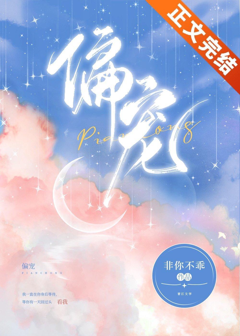 偏宠封面