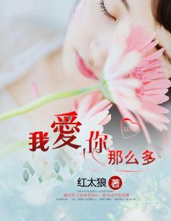 我爱你那么多封面