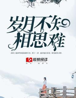 岁月不知相思难封面
